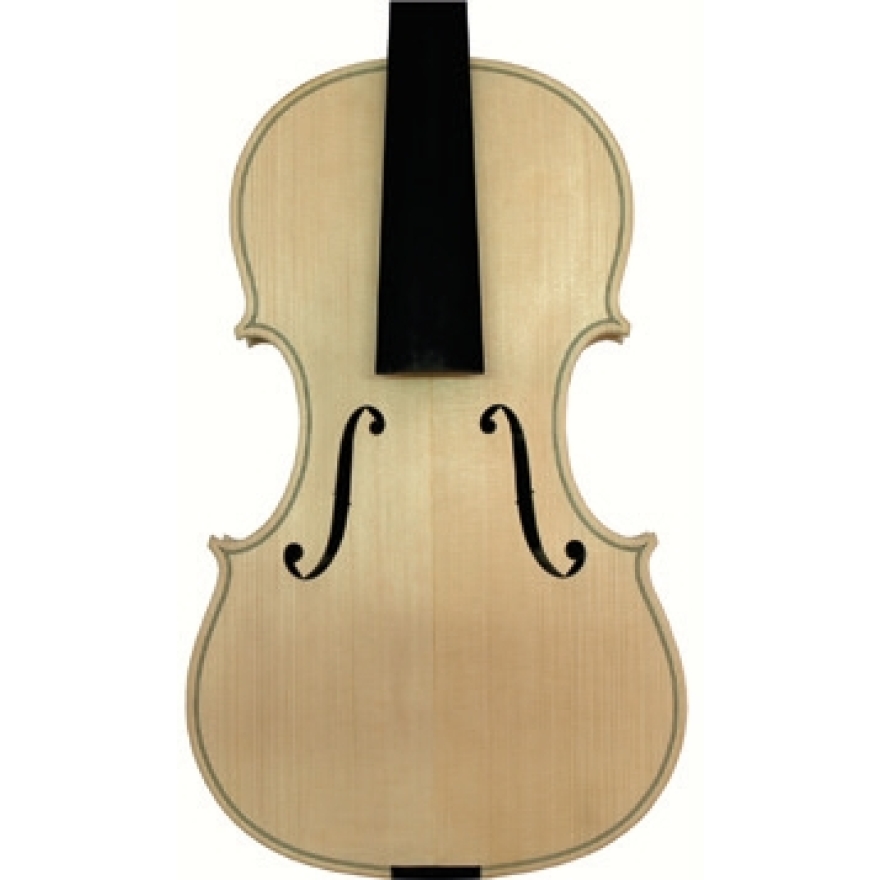 European violin white