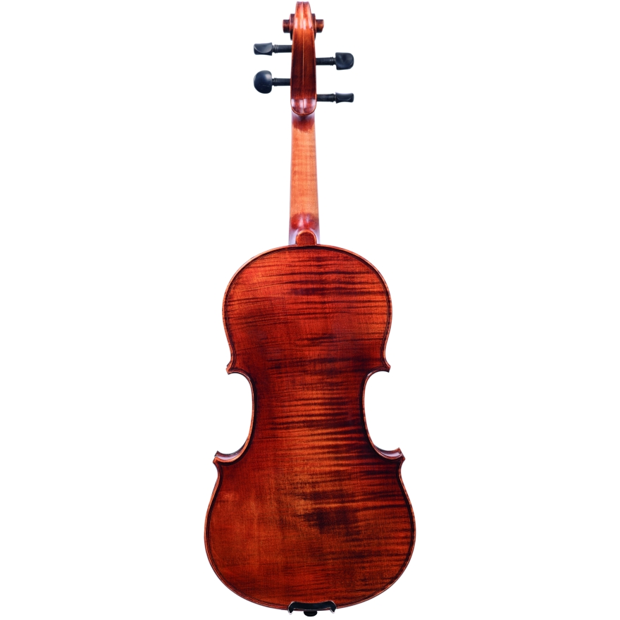 Petz violin HN100
