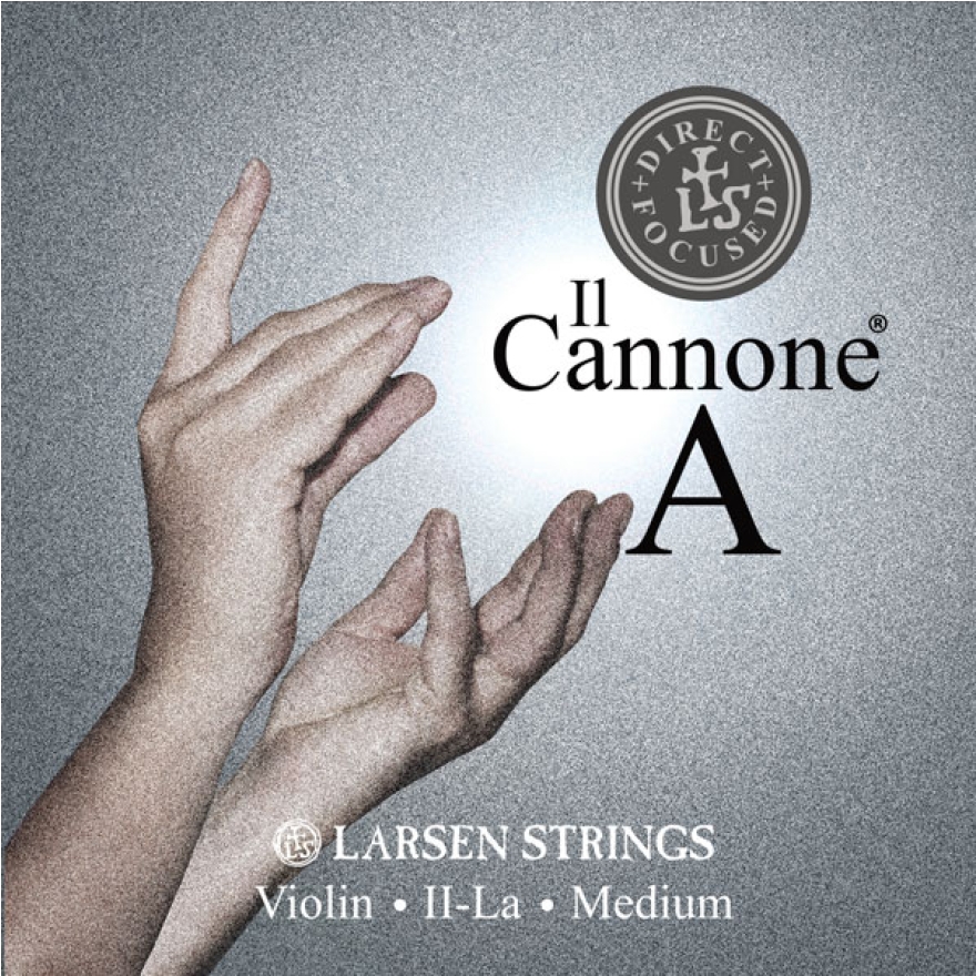 Larsen Il Cannone Violine A Direct & Focused