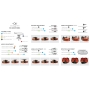 Viva la Musica Augustin 3D chin rest violin 4/4 - 3/4