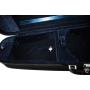 Petz case for viola, made of laminated wood