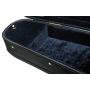 Petz case for viola, made of laminated wood