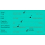 Thomastik-Infeld Versum cello SET
