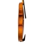 violin model Guarneri