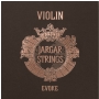 Jargar Evoke violin SET