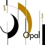 For-Tune Opal Gold violine SET