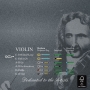 Larsen Il Cannone Violine Direct & Focused SATZ